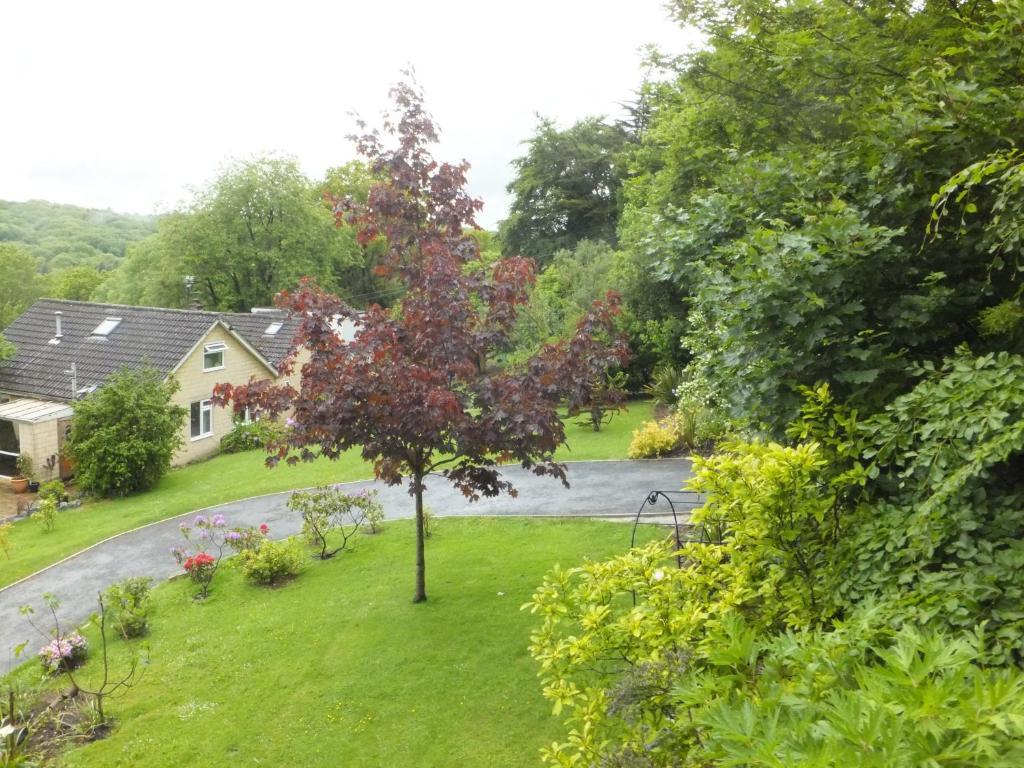 Shrubdown Bed & Breakfast Freshford Exterior photo